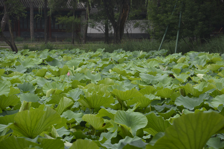圖片關(guān)鍵詞
